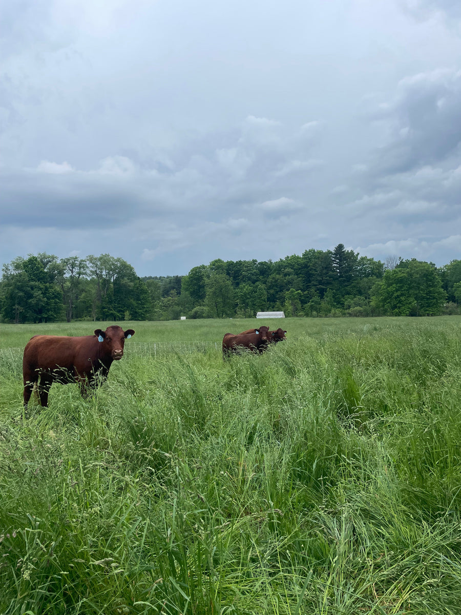 100% Grass fed Beef