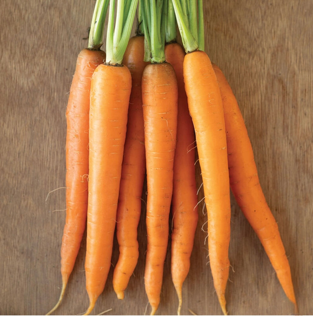 Organic Carrots
